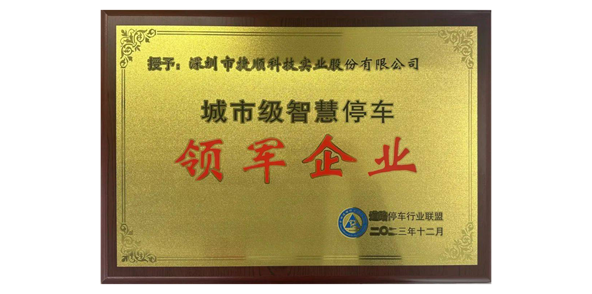 Leading Enterprise in Urban Smart Parking